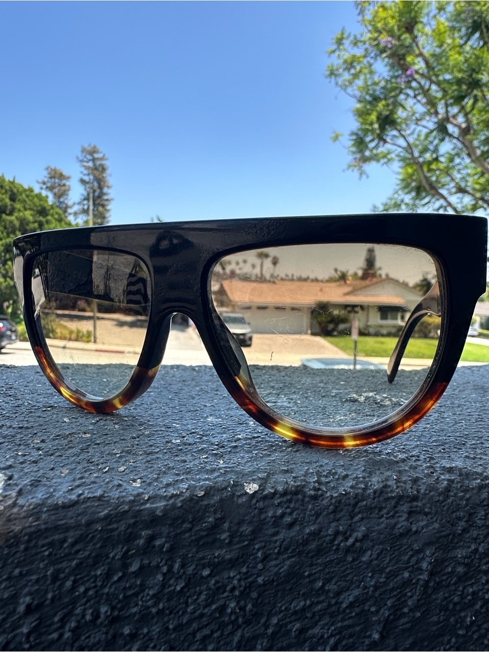 Celine Oversized Shield Sunglasses in Black and Tortoiseshell